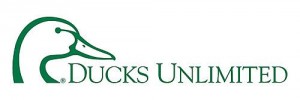 DU logo