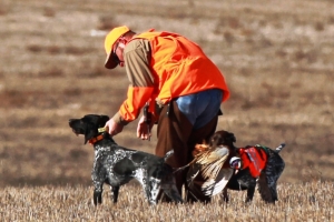 Saturday hunt