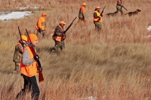 Saturday hunt