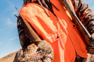 hunt