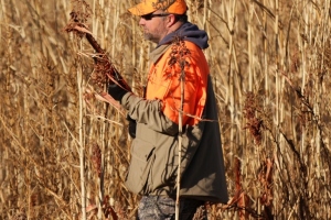 hunt