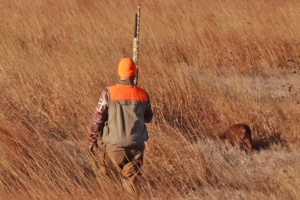 hunt11