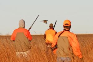 hunt15