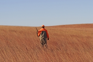 hunt19
