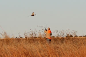 hunt24
