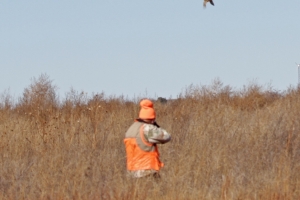 hunt40
