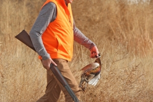 hunt20