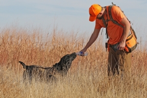 hunt26