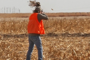 hunt37