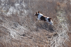 hunt4