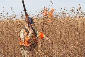hunt40