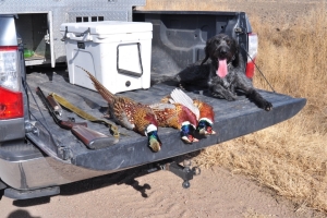 hunt6