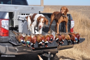 hunt9