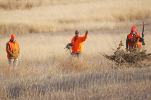 hunt72