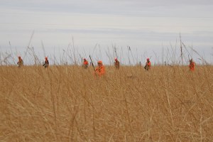 hunt9
