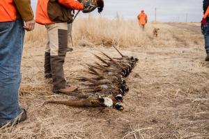 huntbs15