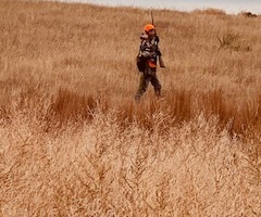 huntmm