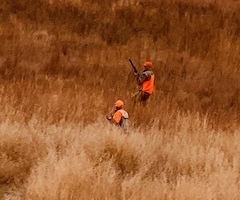 huntmm4