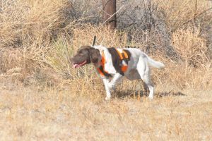 hunt20