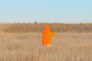 hunt29