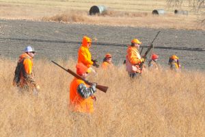 hunt31