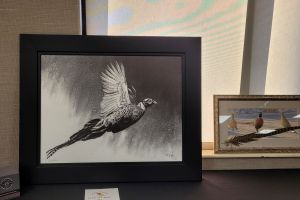 auction35