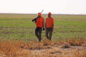 hunt12