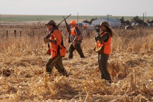 hunt15