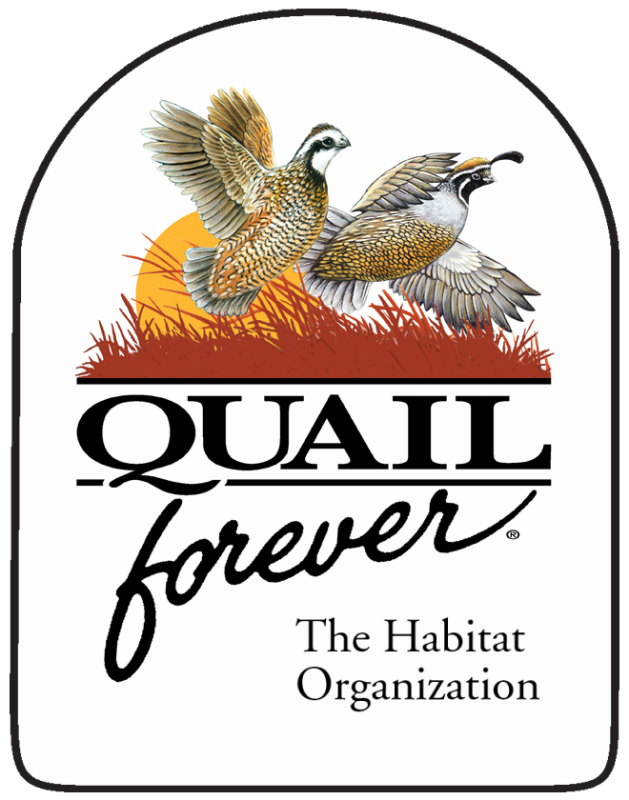 QF NEW Logo
