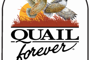 QF NEW Logo