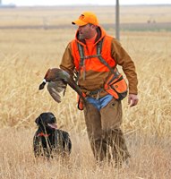 Upland bird hunitng